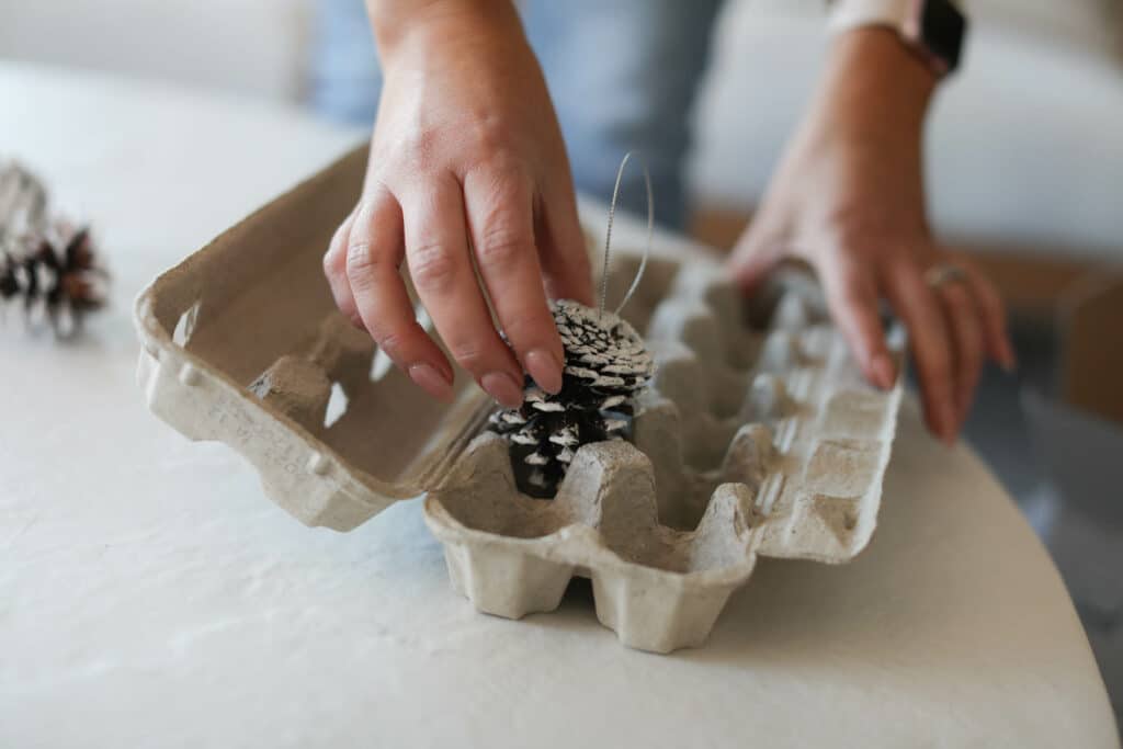 Go_Clean-November-2022-58 - House Work hands putting pinecone ornament into egg carton