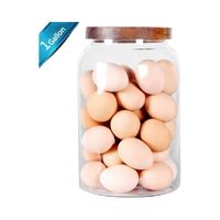 SAIOOL Egg Jar