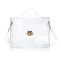 Hoxis Clear Messenger Bag