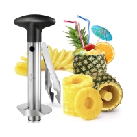 Pineapple Corer