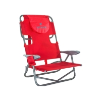 Ostrich on Your Back Chair
