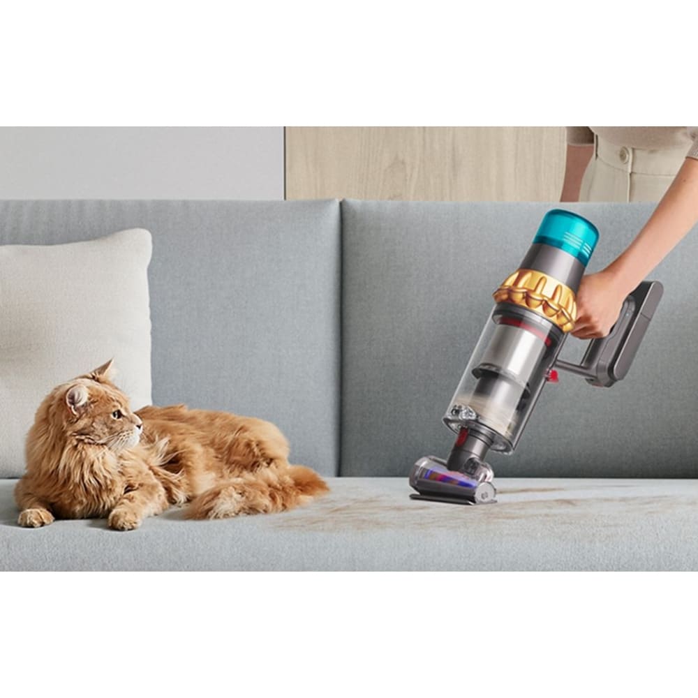 vacuuming cat fur next to a cat laying on a gray couch