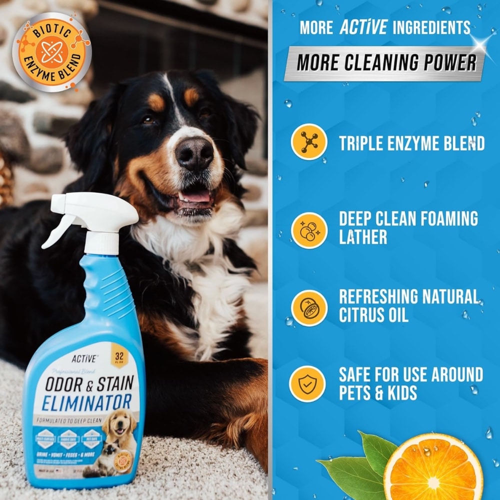 pet oder and stain eliminator infographic