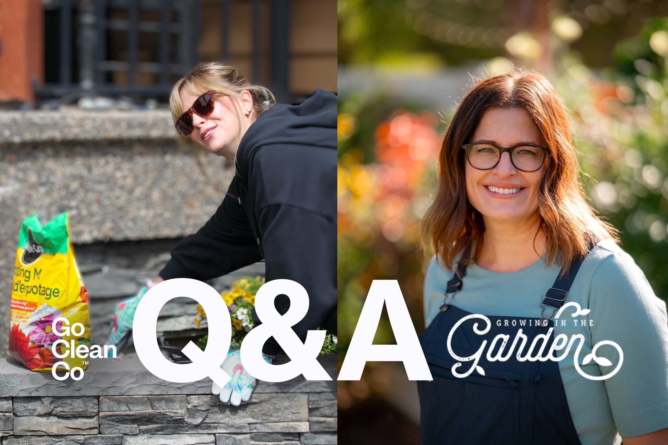 New to Gardening? Start Here (No Green Thumb Required)
