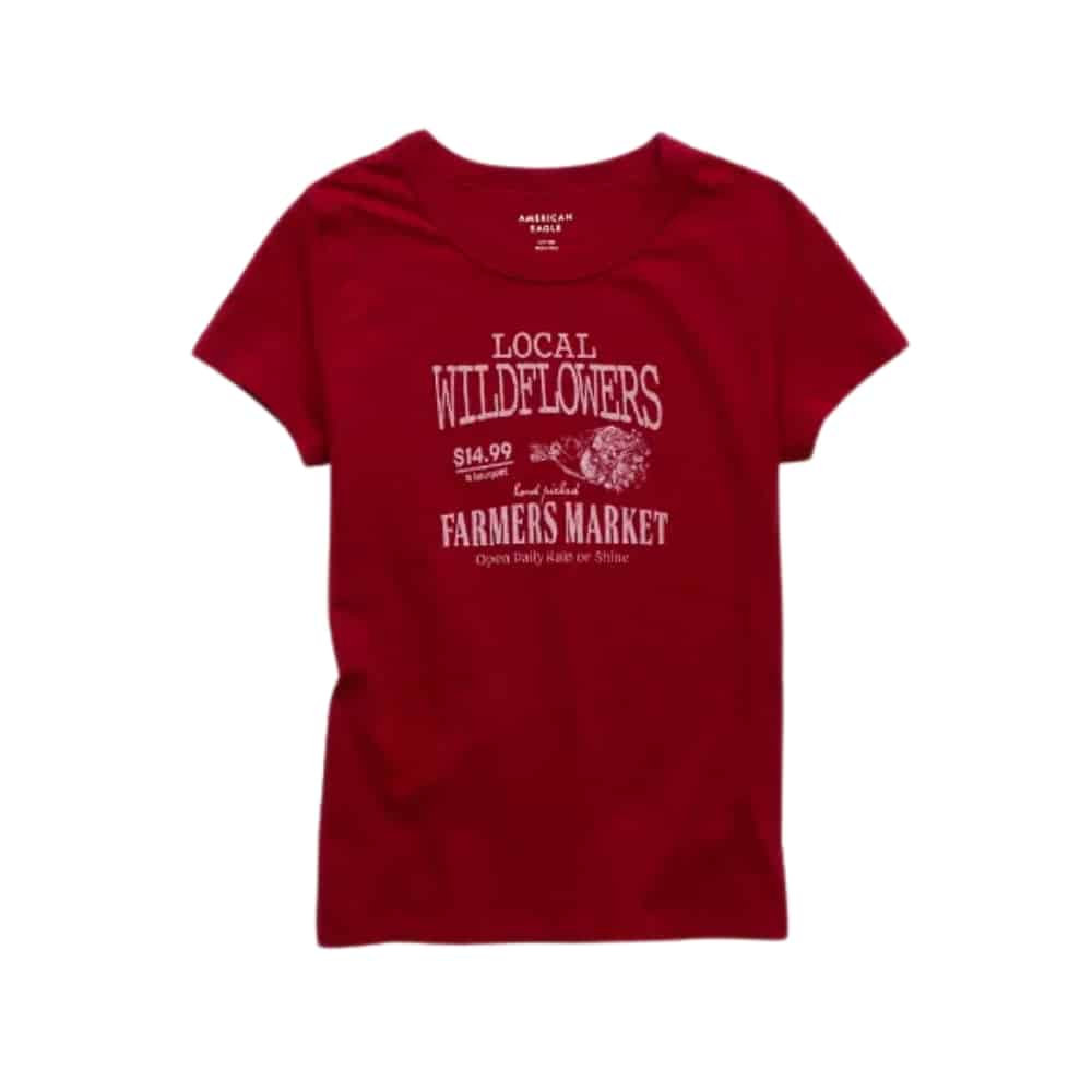 AE Food Graphic Hey Baby Tee
