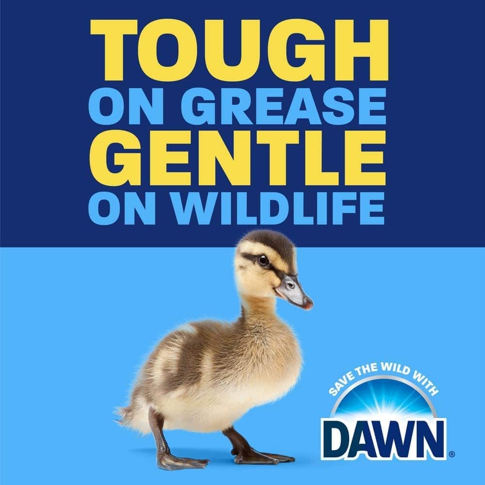 Bold blue and yellow slogan reads 'TOUGH ON GREASE, GENTLE ON WILDLIFE' above a duckling on a blue background with the Dawn logo in the corner.