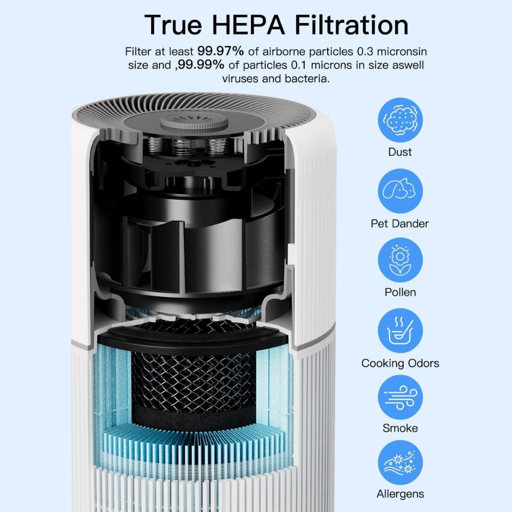 Cross-section of a true HEPA air purifier showing internal filter layers and blue cylindrical filter.